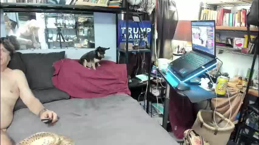 pink_black Live Sex December 17, 2025