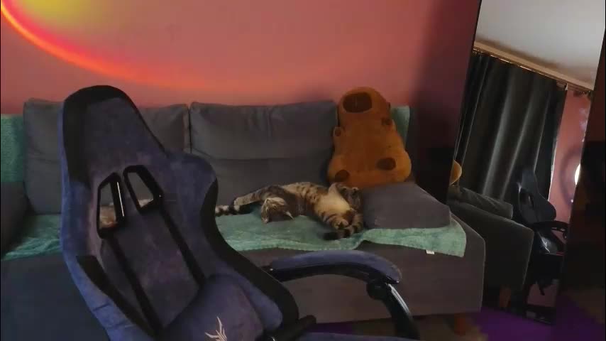 _capybara0_0 Live Sex December 17, 2025