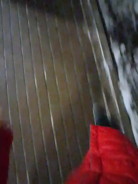 EVIL_TITS Live Sex 2025.12.16