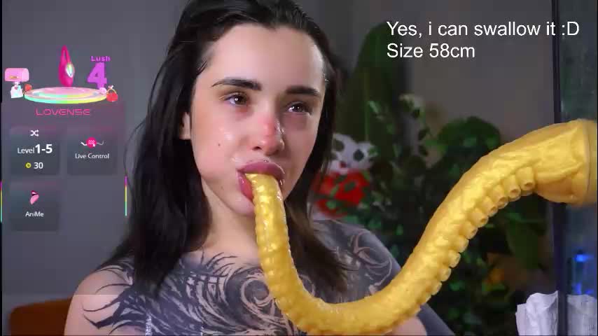 evarabbit Live Sex 2025.12.17