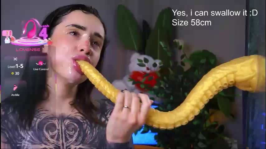 evarabbit Live Sex 2025.12.17