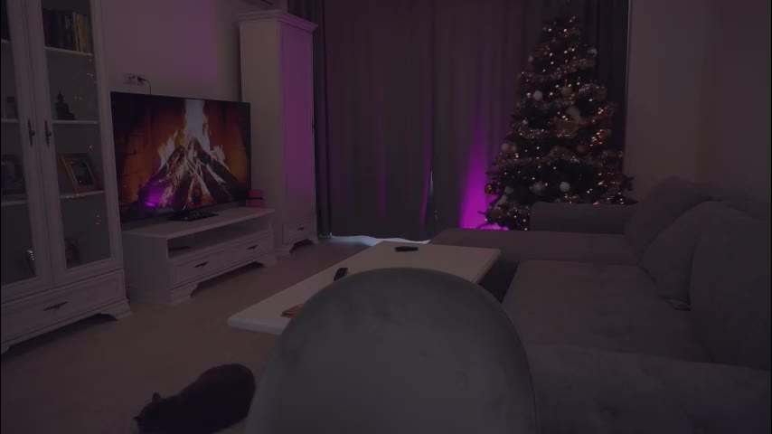 missmerciless Live Sex 2025.12.16