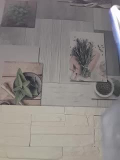 Anesteishen Live Sex 2025.12.17