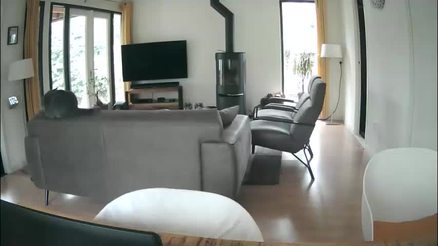 woodwurm Live Sex 2025.12.13