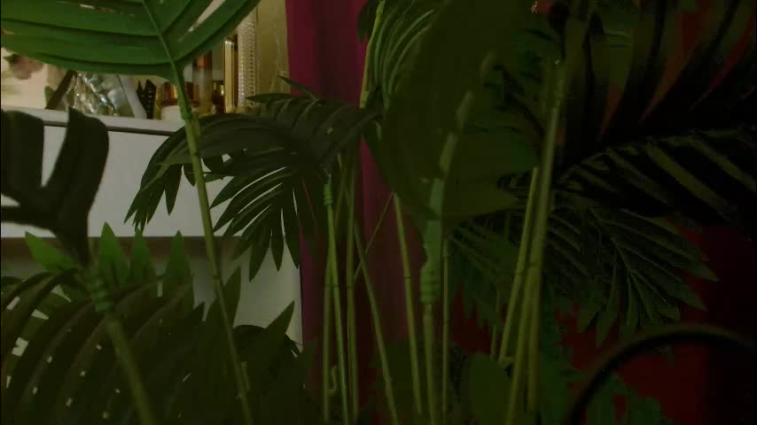 imcarrieberry Live Sex 2025.12.17