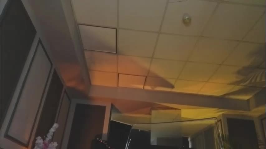 misskiarra Live Sex 2025.12.17