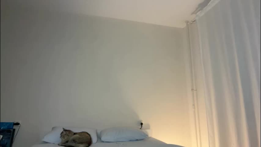 milky__way_ Live Sex 2025.12.17