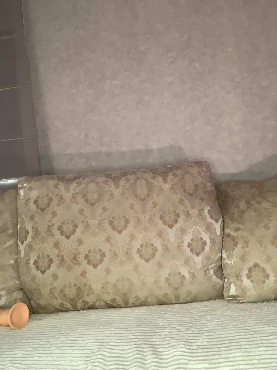 -ALLSAINT- Live Sex 2025.12.18