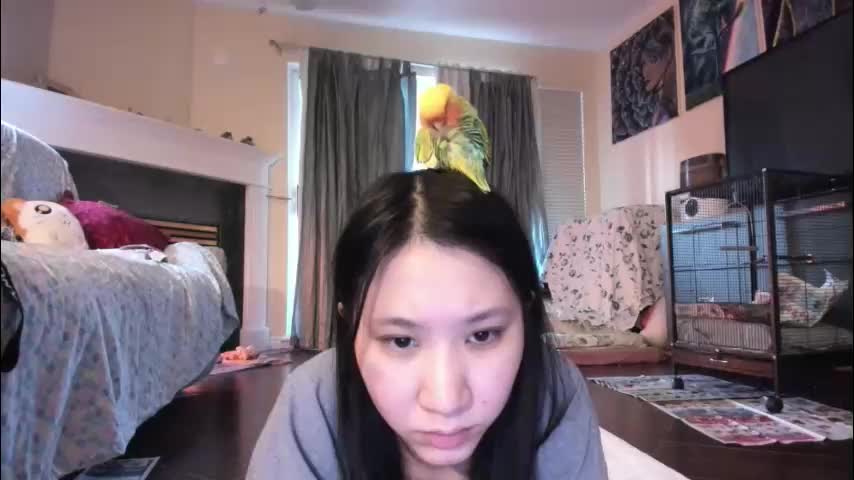 alizezaide Live Sex 2025.12.18