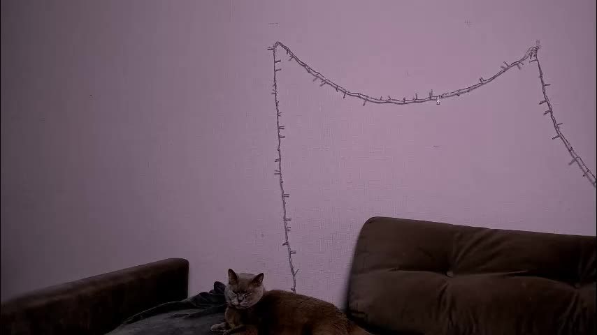 ladytrep Live Sex 2025.12.18