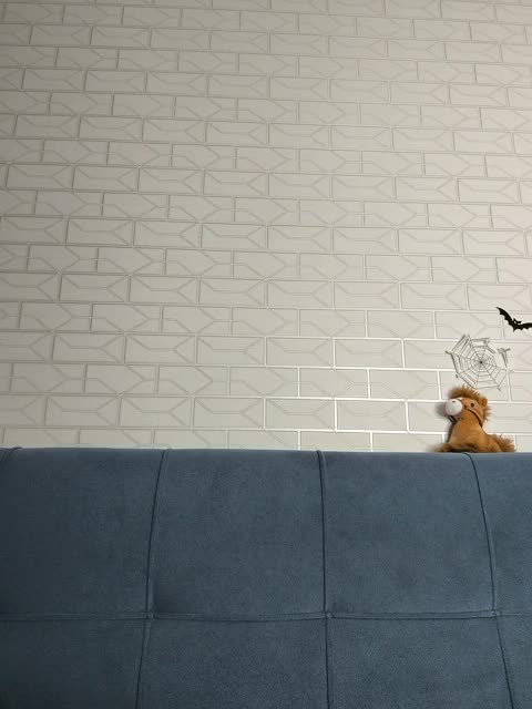 GORIGLAZ Live Sex December 19, 2025