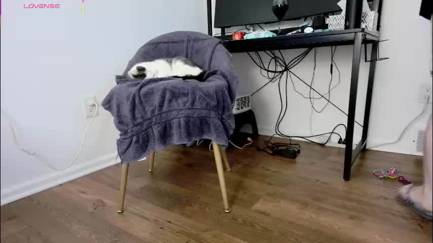 jjjust4fun1985 Live Sex 2025.12.18