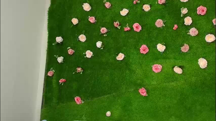 megatitts_ Live Sex 2025.12.18