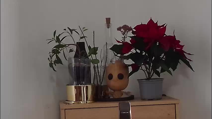 m1agarand Live Sex 2025.12.18