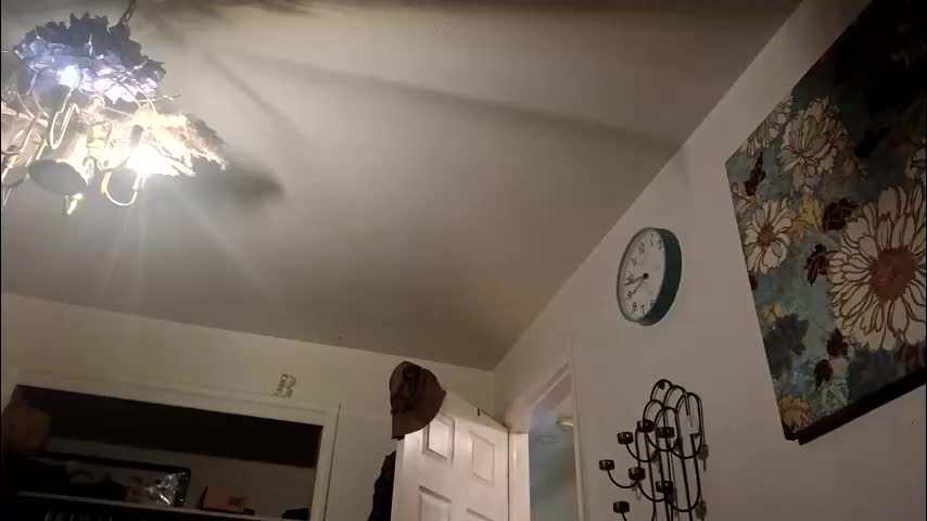 lacybell Live Sex 2025.12.18