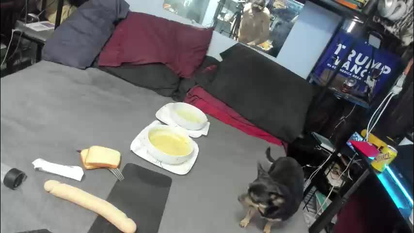 pink_black Live Sex 2025.12.18