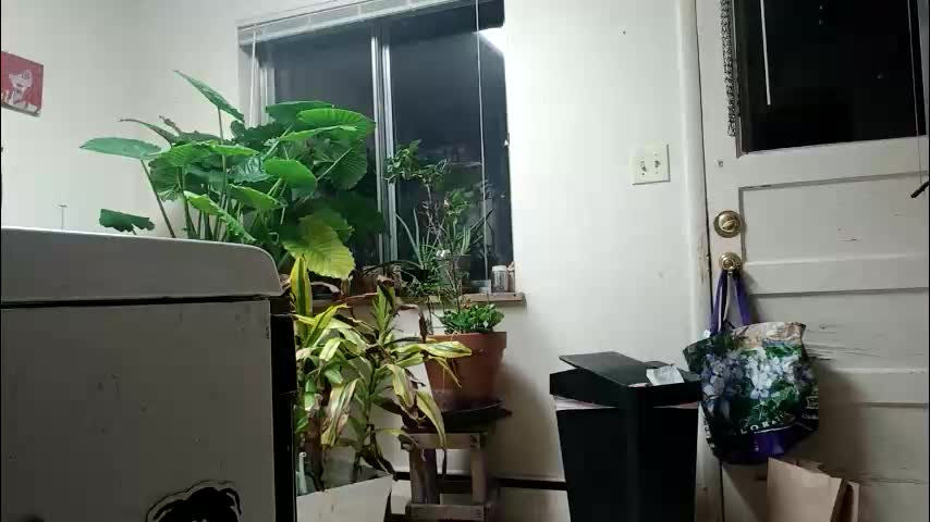 lacybell Live Sex 2025.12.18