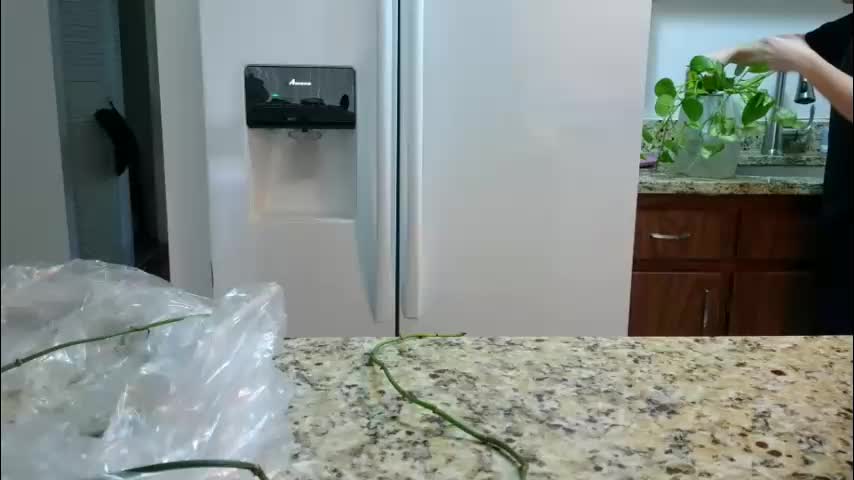 kate4unow Live Sex 2025.12.19