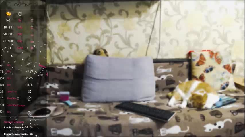 tender__ada Live Sex 2025.12.18