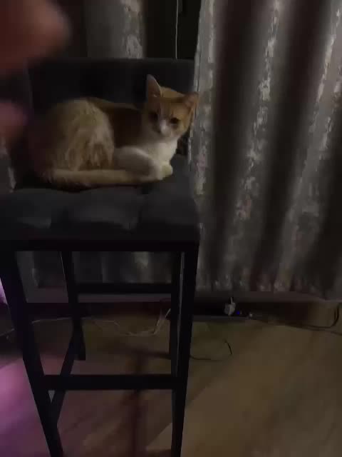 MilashaNyasha Live Sex 2025.12.18