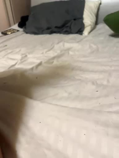 Lovepopi0201 Live Sex December 19, 2025