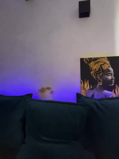 WILDGIRL Live Sex 2025.12.18