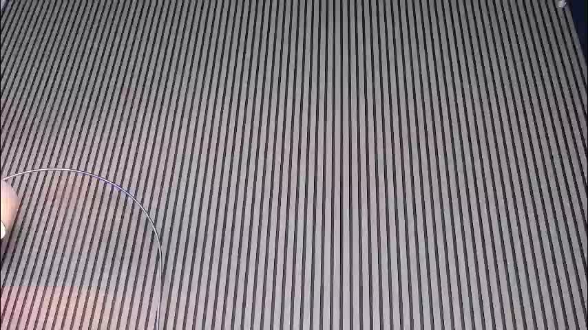 erikarossee Live Sex 2025.12.18