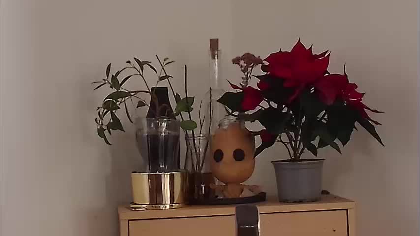 m1agarand Live Sex 2025.12.18