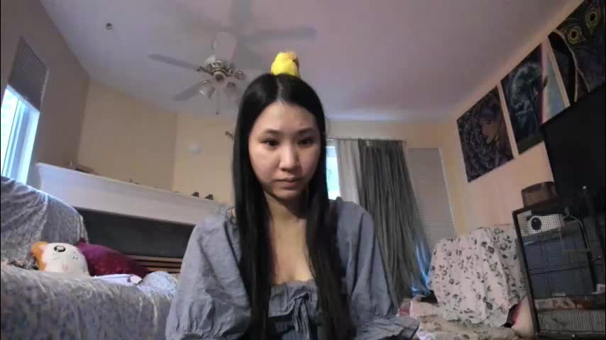 alizezaide Live Sex 2025.12.19