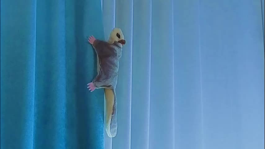 jolyndeb Live Sex 2025.12.19