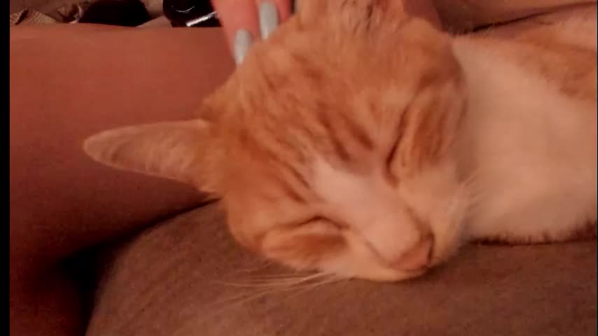 palmer_haze Live Sex 2025.12.19