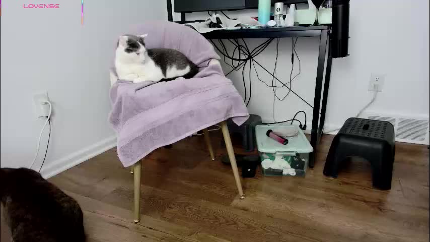 jjjust4fun1985 Live Sex 2025.12.20