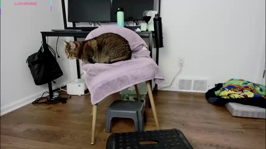 jjjust4fun1985 Live Sex 2025.12.20