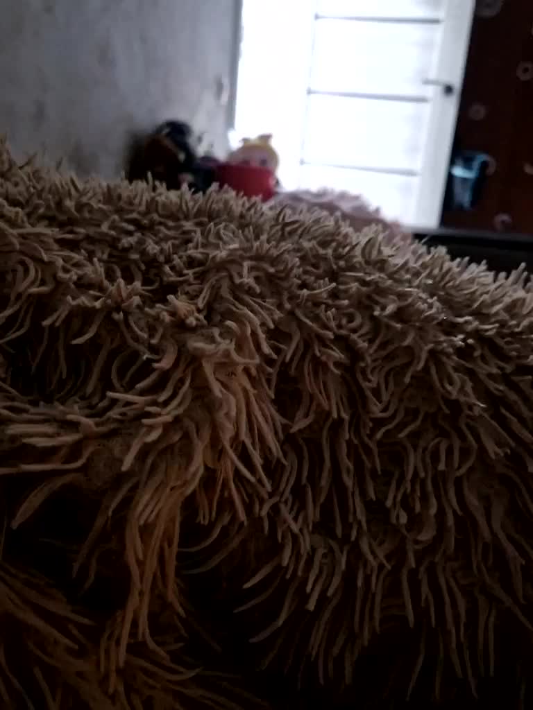 Para222a Live Sex 2025.12.21