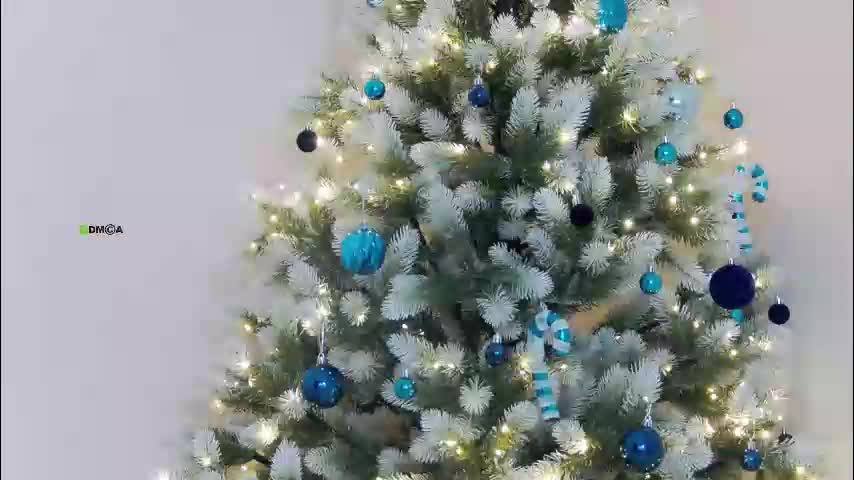 haters_ Live Sex December 21, 2025