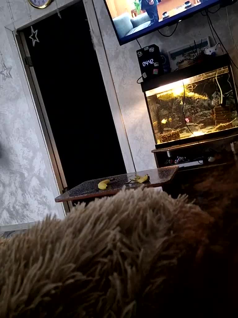 Para222a Live Sex 2025.12.21