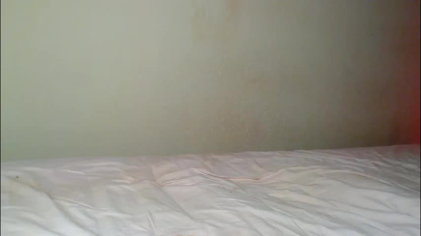 alicerabdit Live Sex December 22, 2025