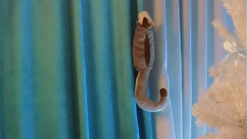 jolyndeb Live Sex December 23, 2025