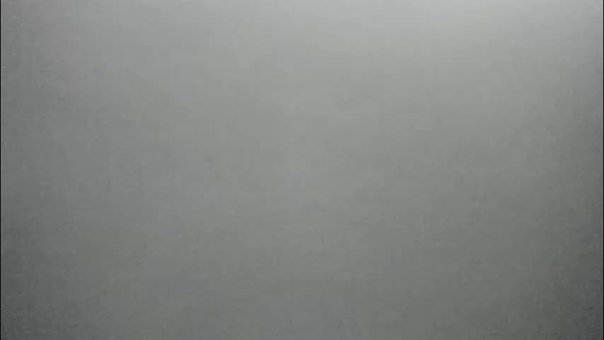 synop_sis Live Sex December 23, 2025