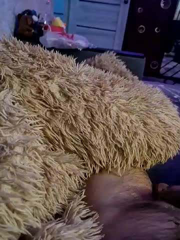 Para222a Live Sex December 23, 2025