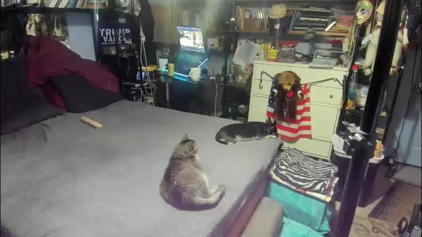 pink_black Live Sex December 23, 2025