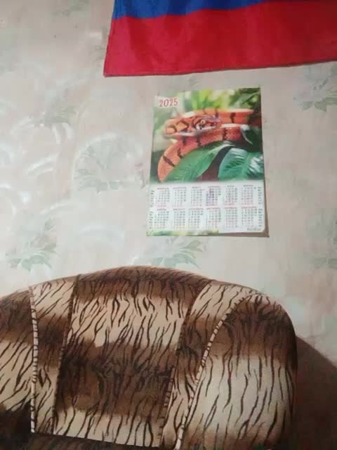 Calibriya Live Sex December 23, 2025