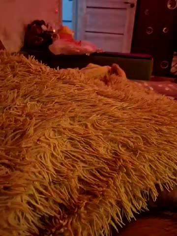 Para222a Live Sex December 23, 2025