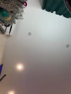 Ellidi Live Sex December 23, 2025