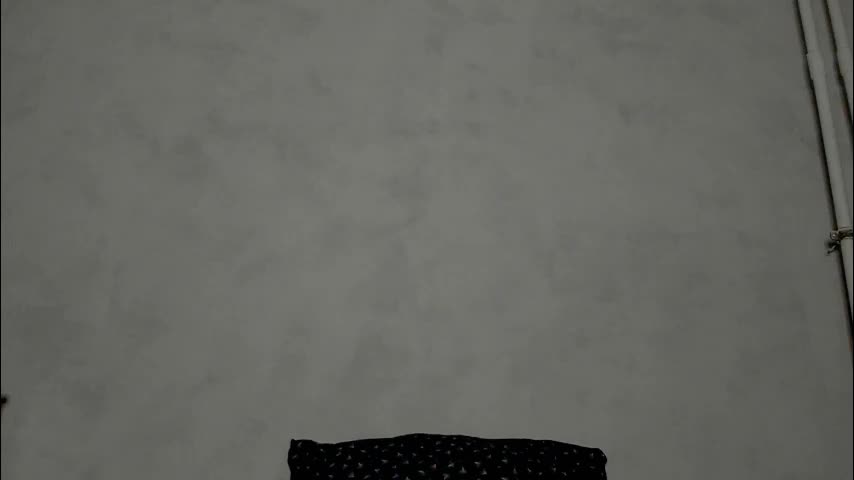 superior_cat Live Sex December 23, 2025