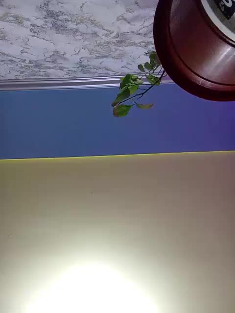 Sokovita Live Sex December 24, 2025