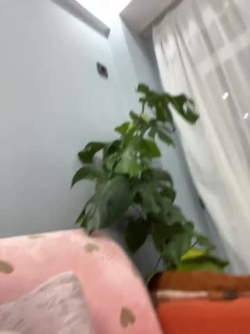 CuteKitty00 Live Sex December 24, 2025