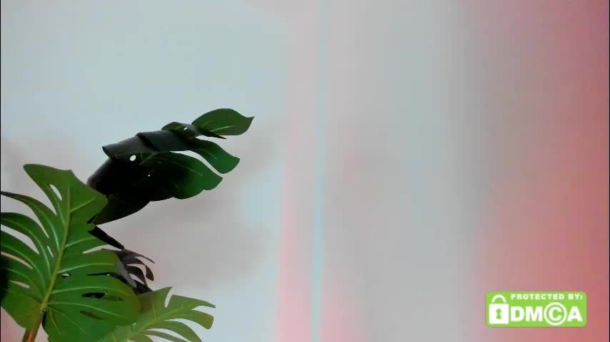 ashllovee_ Live Sex December 24, 2025