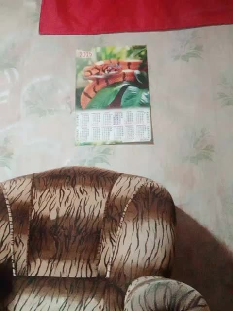 Calibriya Live Sex December 24, 2025