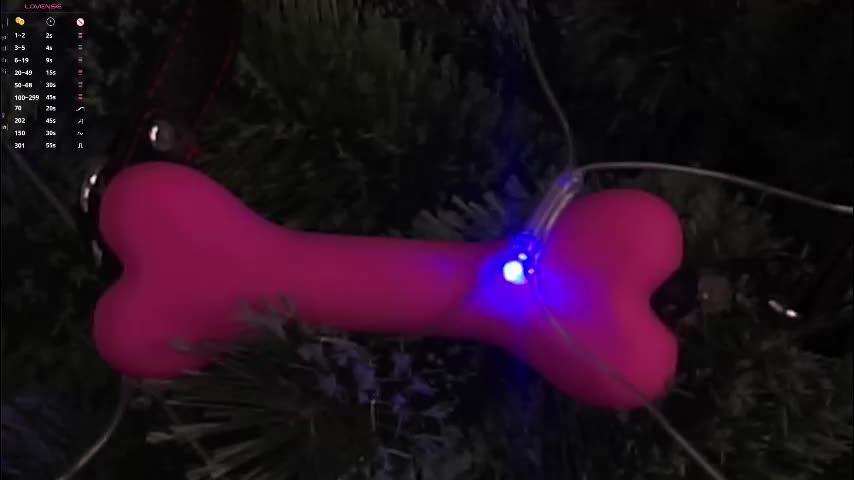 taitehambelton Live Sex December 24, 2025